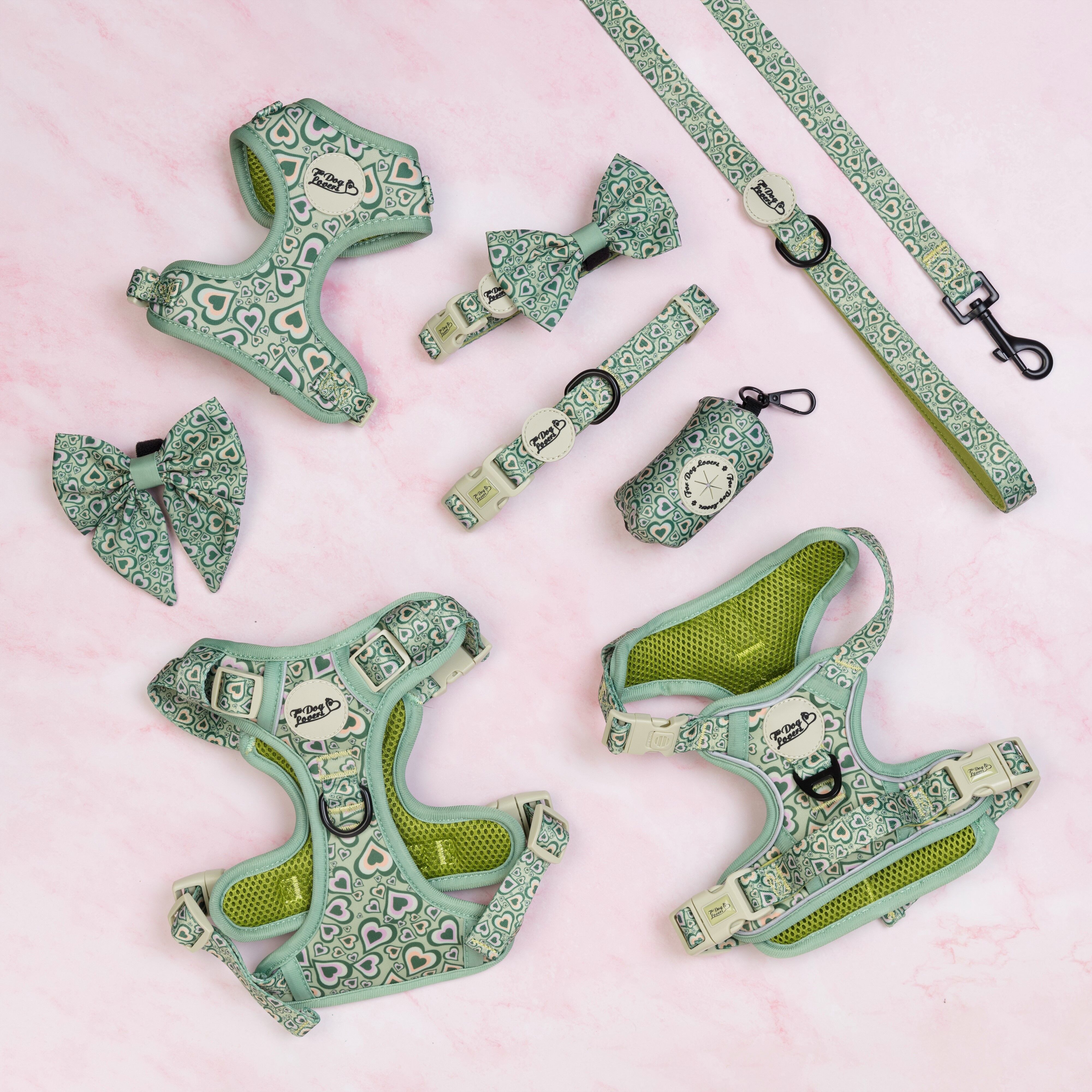 Set da cinque pezzi per passeggiate con il cane Heartbreaker