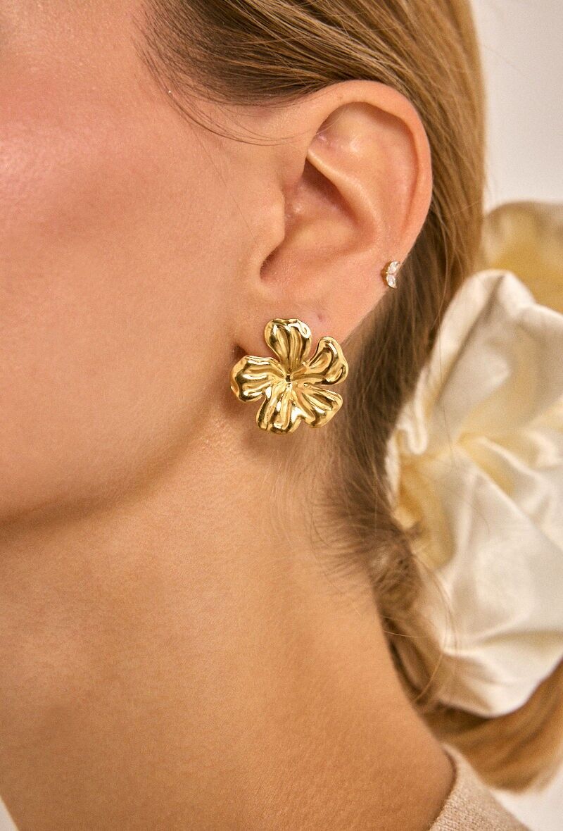 Orecchini in acciaio inossidabile 124AQ510