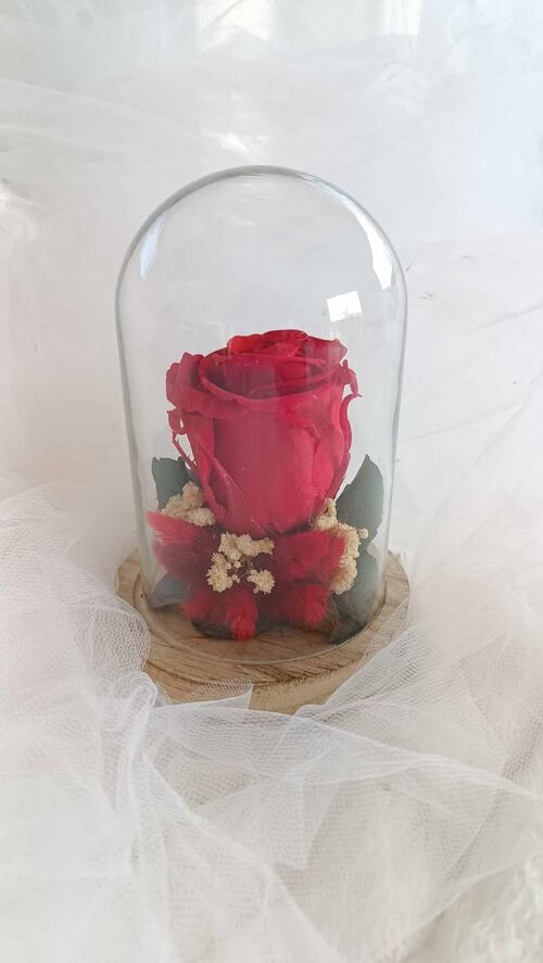 Cloche en verre rose rouge -  St Valentin