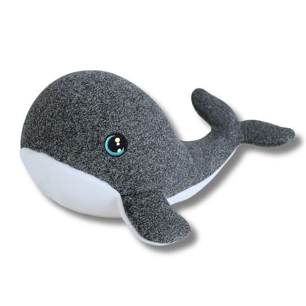 Finley 🐳 - Sin chirrido