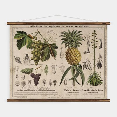 Wine & Pineapple Wall Chart