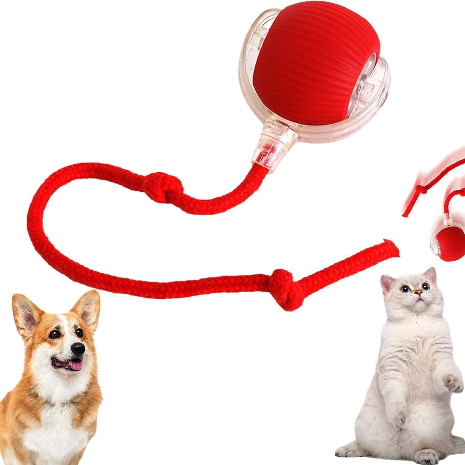Interactive Moving Ball Toy for Cats