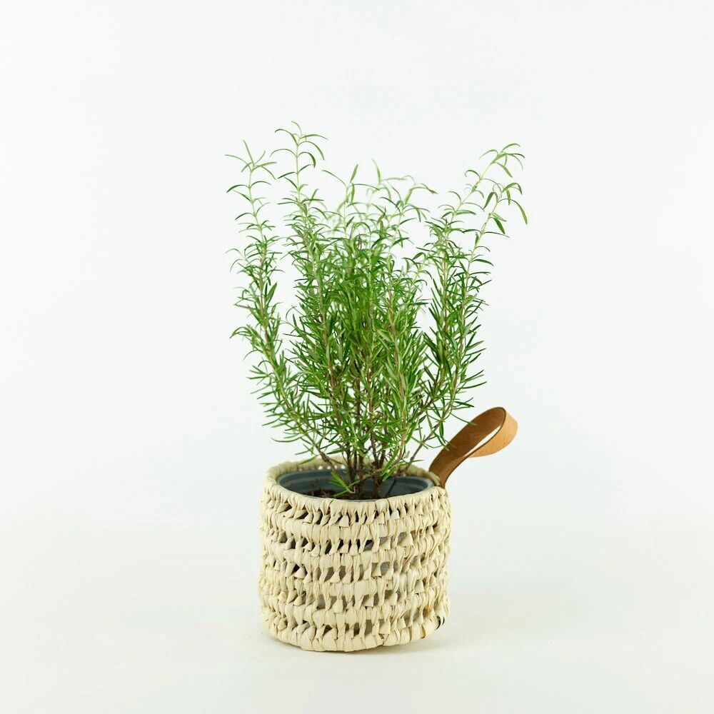 🌿 Cestino con pelle – Contenitore in foglia di palma intrecciata a mano