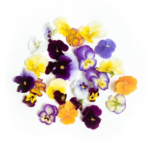 Pansies - fresh edible flower