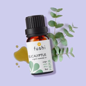 Huile Essentielle d'Eucalyptus Bio 5 ml 2