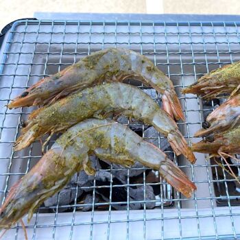 BARBECUE - Assaisonnement pour le poisson et les crustacés - Rub Des Iles - 100g 4