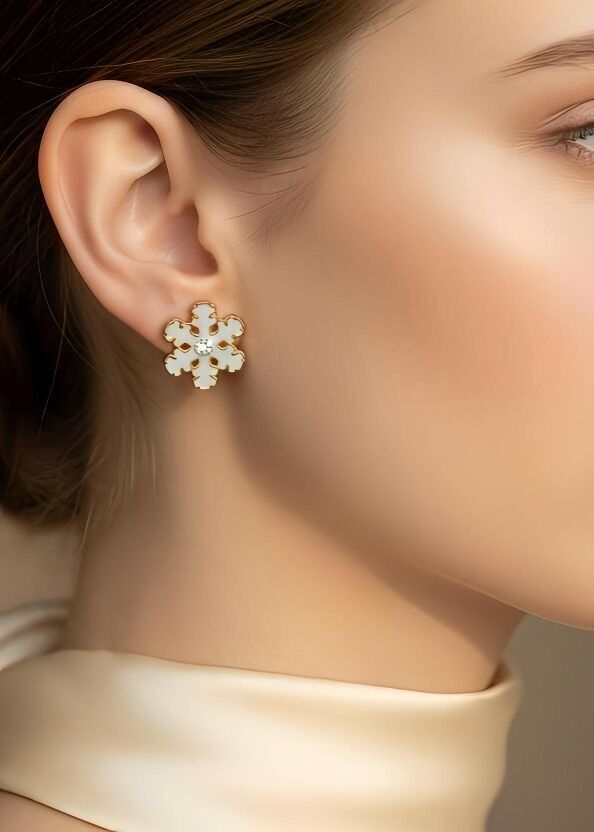 Edelstahl Ohrringe - T189B