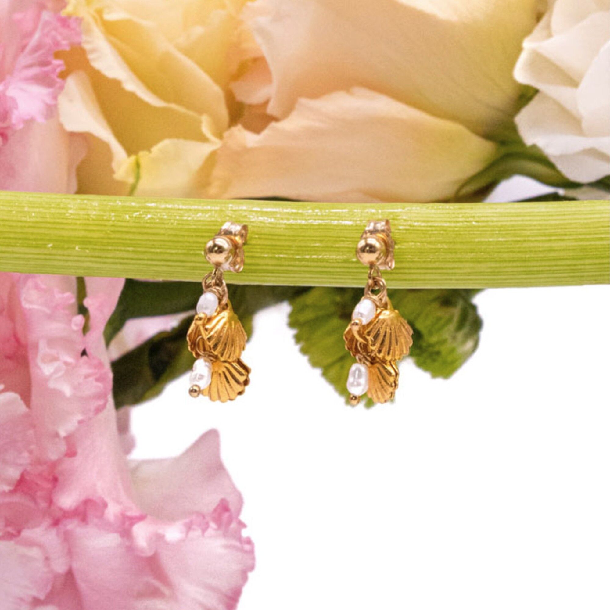 Orecchini Venere: conchiglia e perla d'acqua dolce