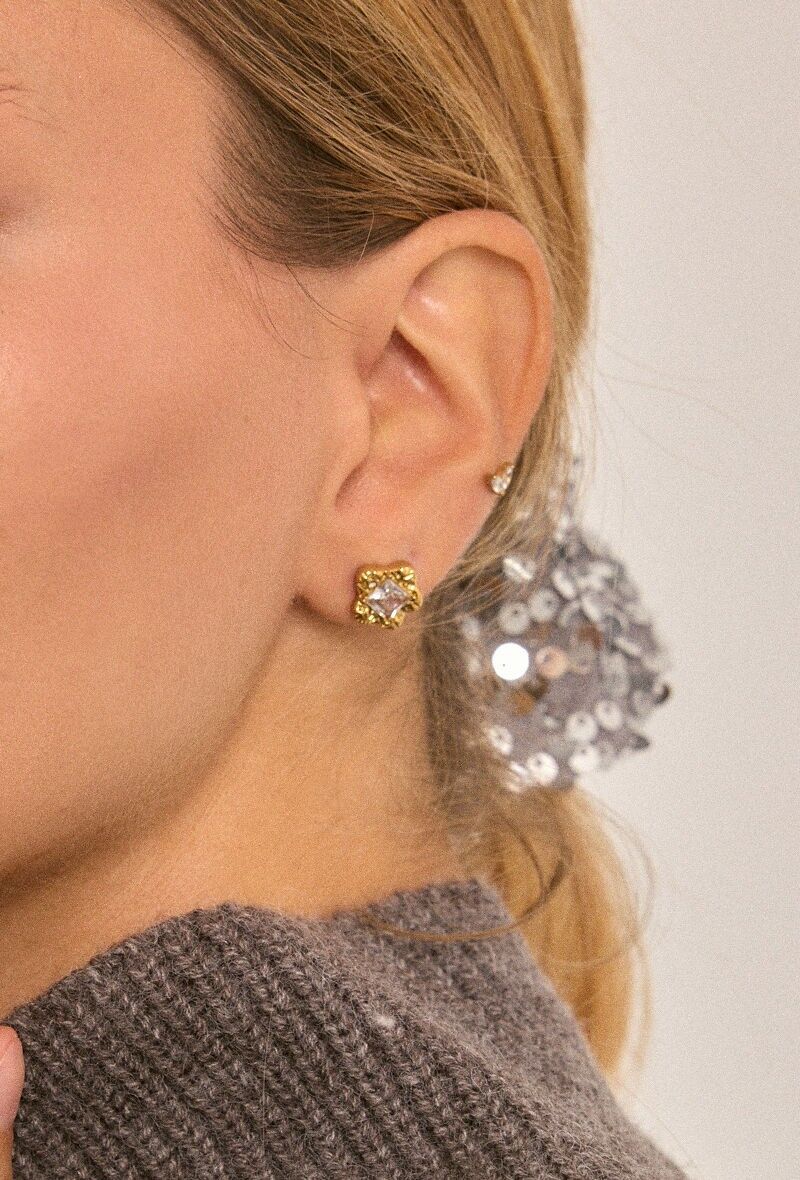 Orecchini in acciaio inossidabile 124RX210