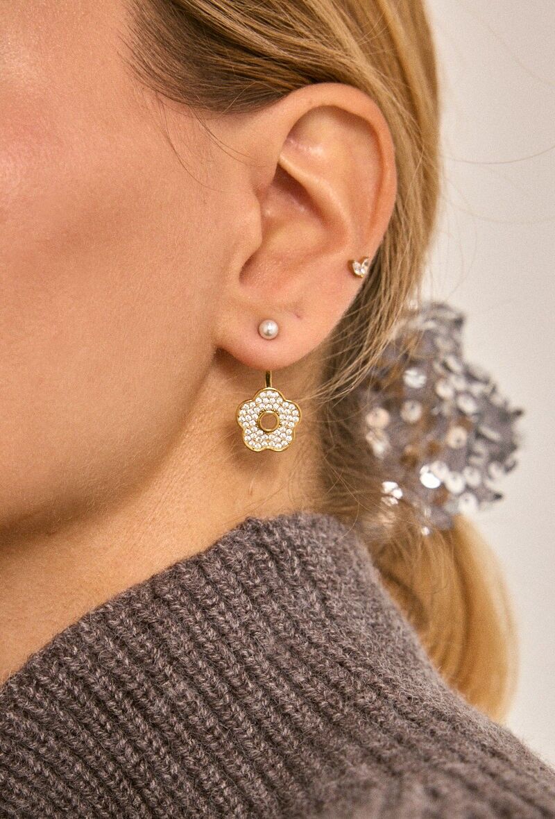 Orecchini in acciaio inossidabile 124RX214