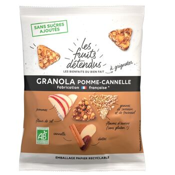 Granola Pomme-Cannelle 35g 1