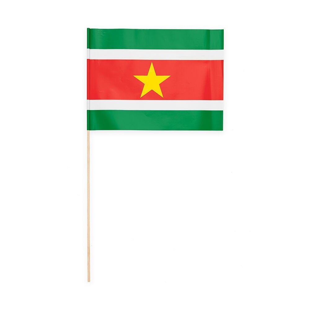 10 drapeaux en papier 20x30cm Suriname