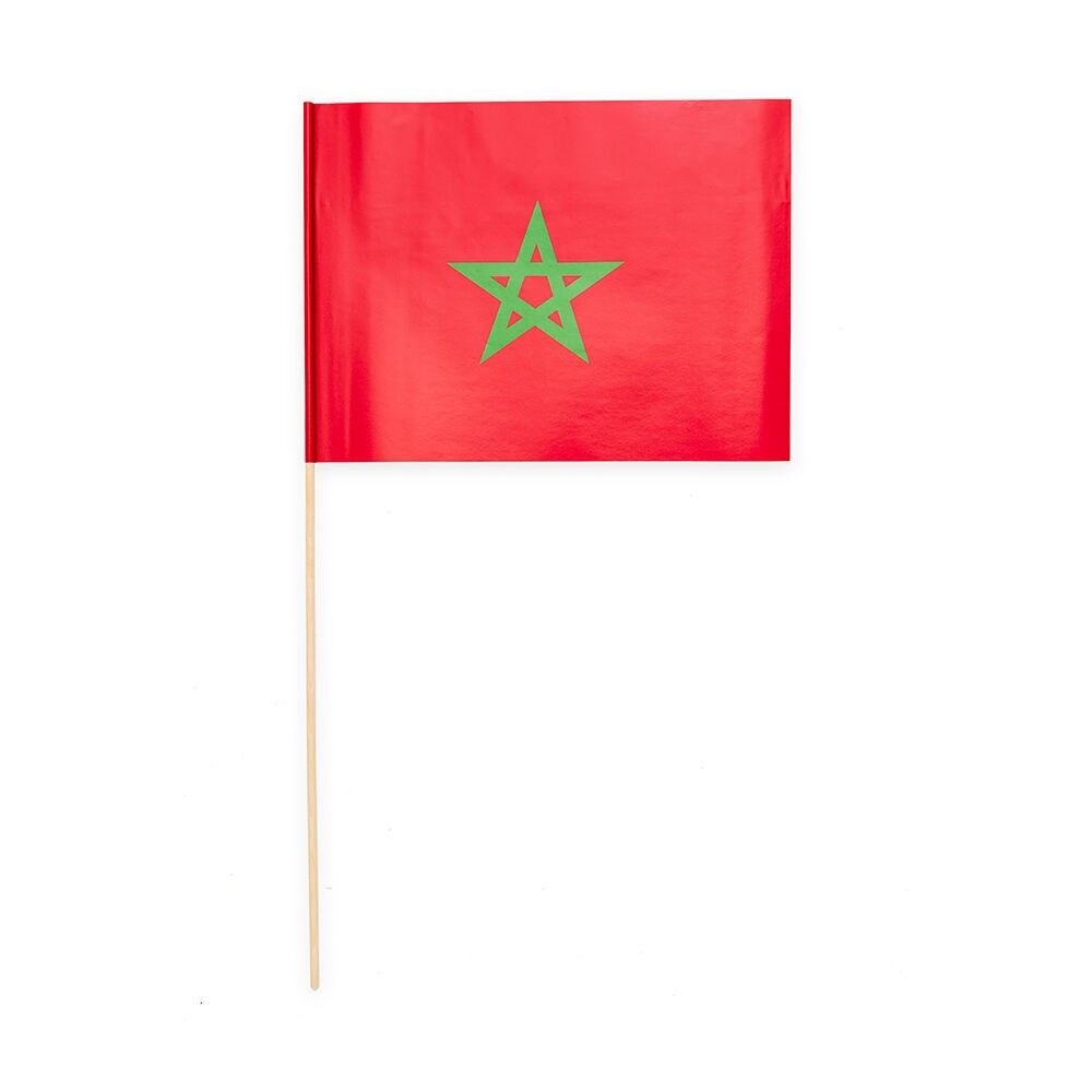 10 drapeaux en papier 20x30cm Maroc