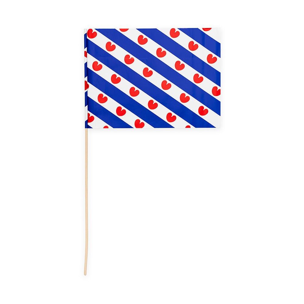 10 Drapeaux en papier 20x30cm Pompé