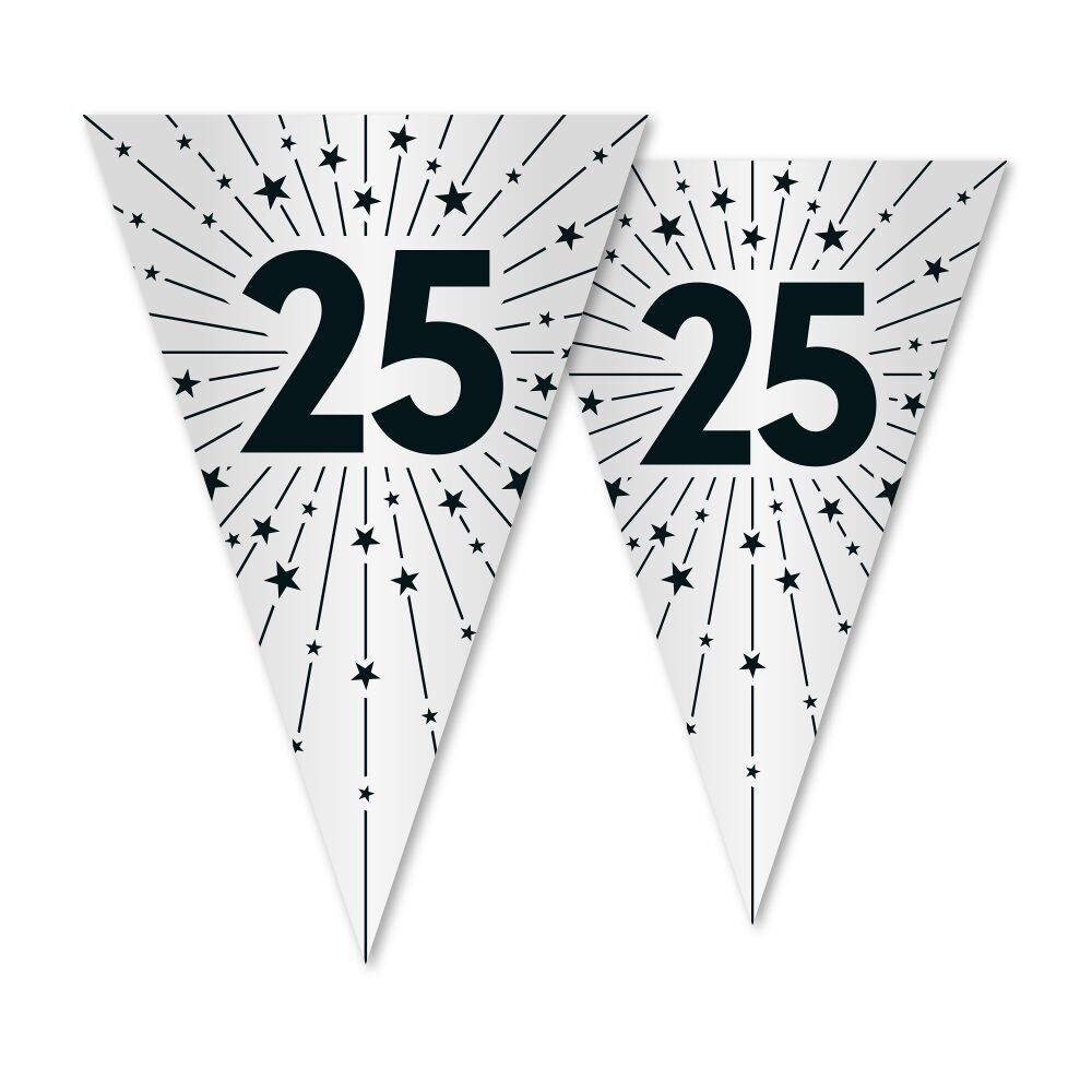 Banderín PET 10m - Impresión a 2 caras - Tamaño bandera 20x30cm - '25' plata