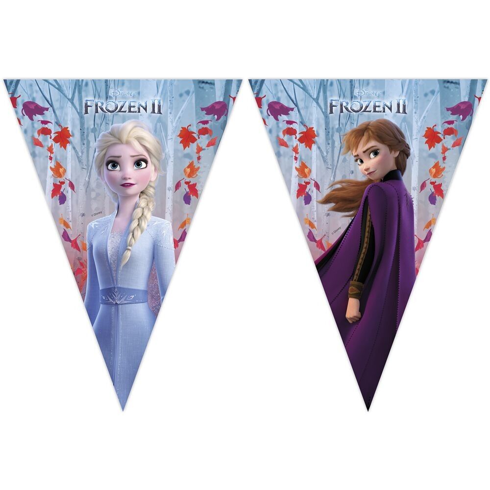 1 Dreiecksflaggenbanner (9 Flaggen) – Frozen 2