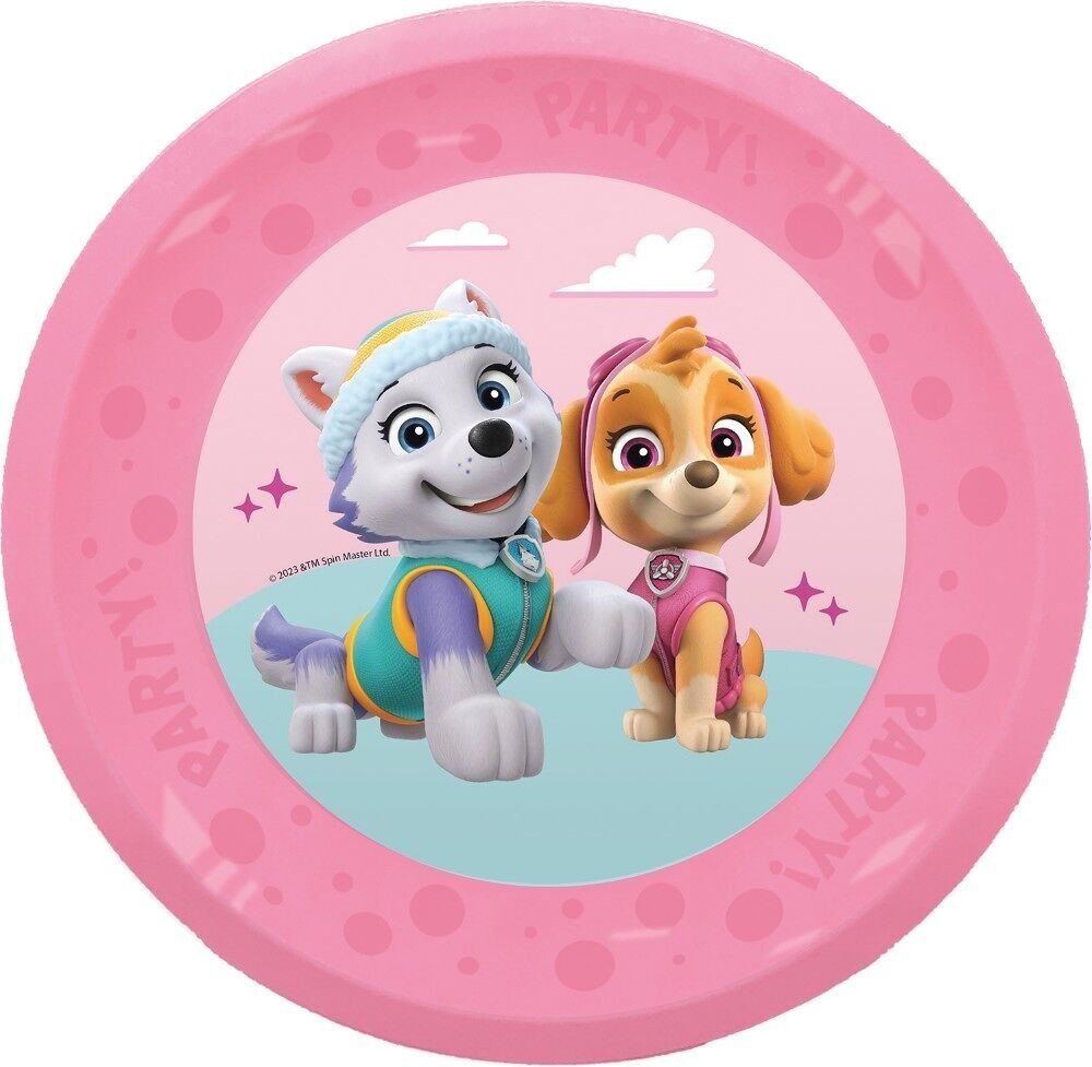 4 wiederverwendbare Partyteller 21 cm – Paw Patrol Skye und Everest