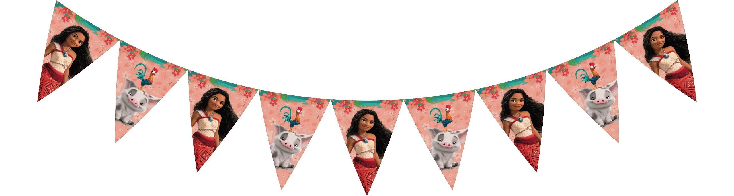 1 Papierdreiecksbanner FSC (9 Flaggen) - Moana II Sailing Spirit