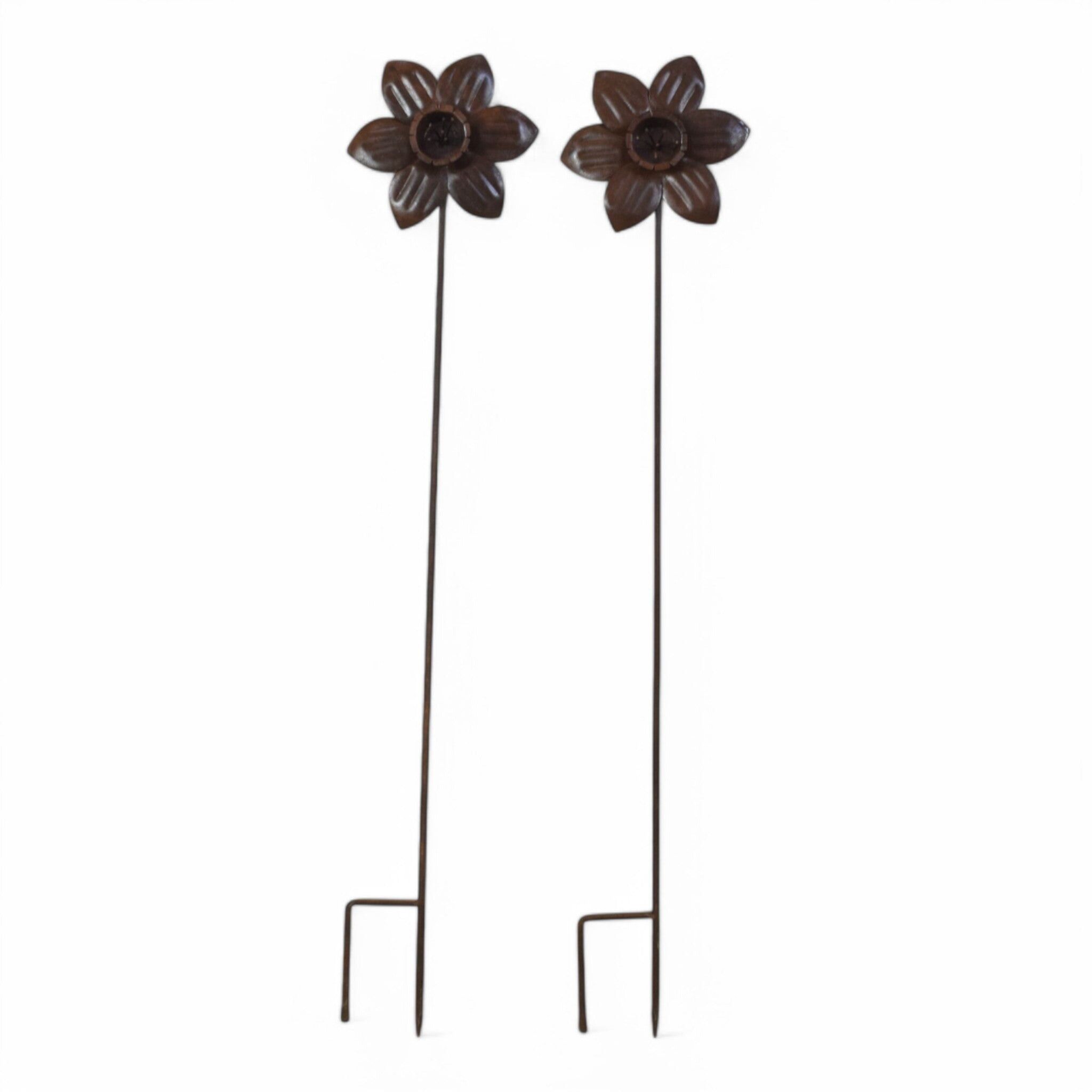 MILL-3269 Narciso en el stand C49