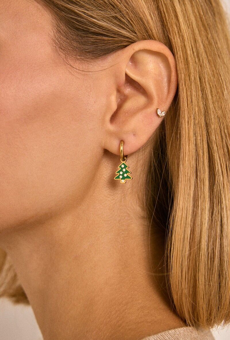 Orecchini in acciaio inossidabile 124RX218