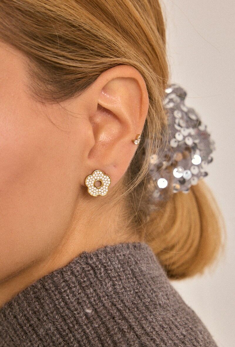 Orecchini a clip in acciaio inossidabile 124RX224