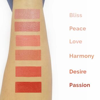 Demi Mattes - Rouge à Lèvres Rose Musquée Bio Peace 3