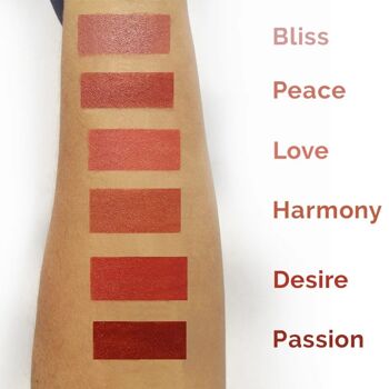 Demi Mattes - Rouge à Lèvres Bio Rose Musquée Love 4