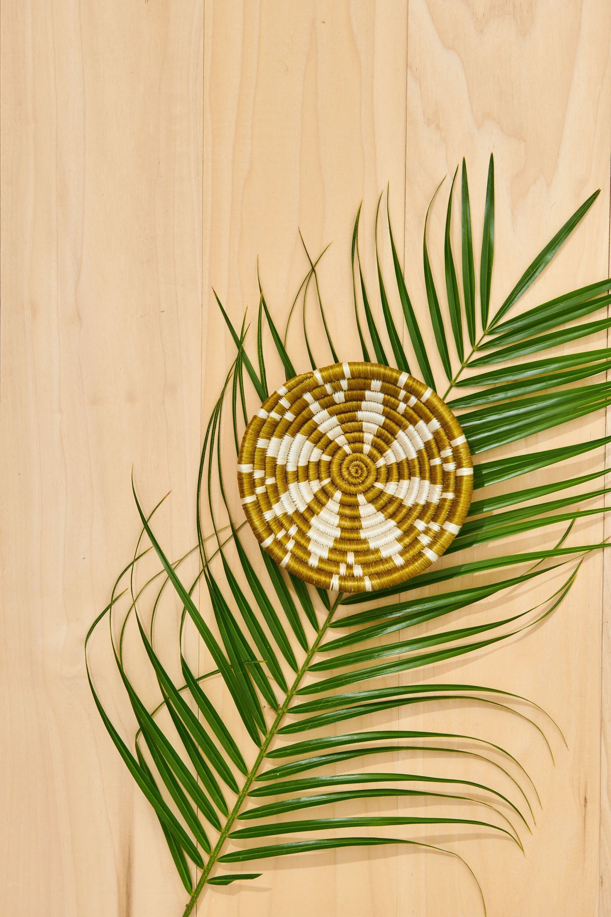 Mini cesta de flor de olivo: cuenco tejido a mano de hierba dulce y sisal | Decoración bohemia africana de comercio justo