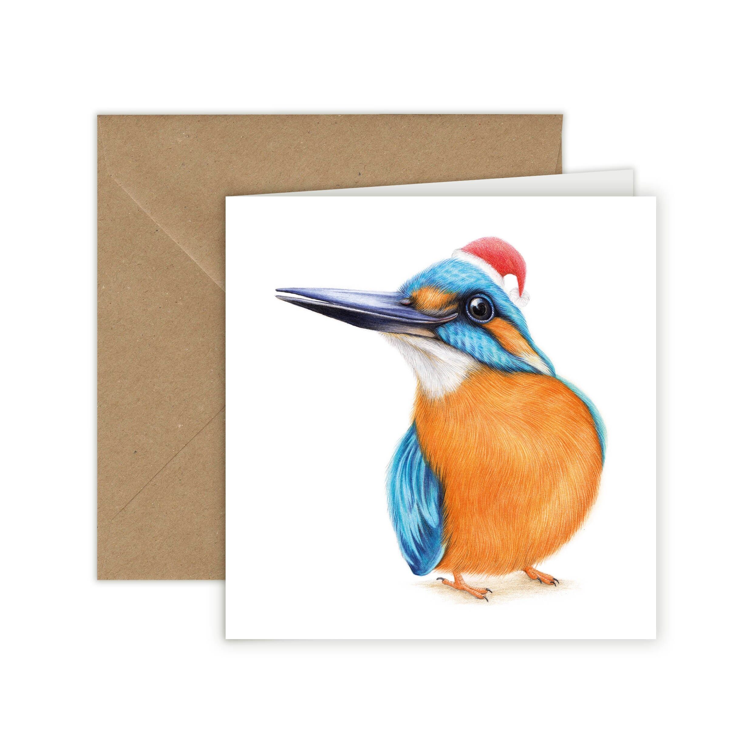 Biglietto di Natale, biglietto di auguri con uccelli, biglietti divertenti, biglietto con animali, martin pescatore