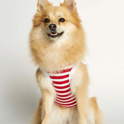 Daniel Red Striped Organic Cotton Dog Bodysuit Vest