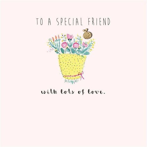 To a special friend