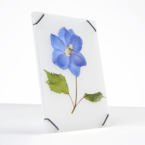 Flowerframe petit transparent blanc