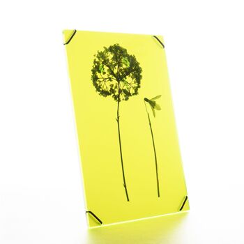 Flowerframe jaune vif moyen 1