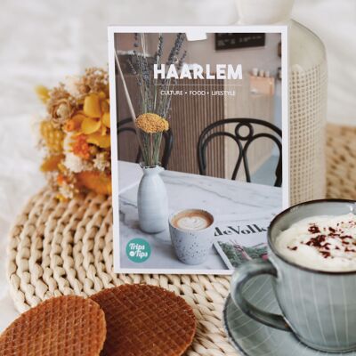 Cityguide Haarlem