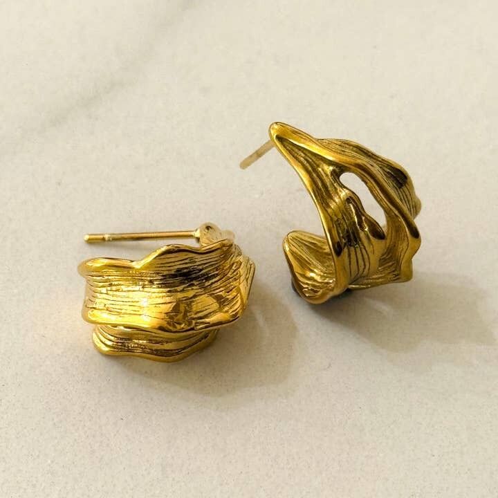 Arcana Stainless Steel Earrings 