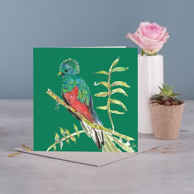 Tropical Bird Greetings Card