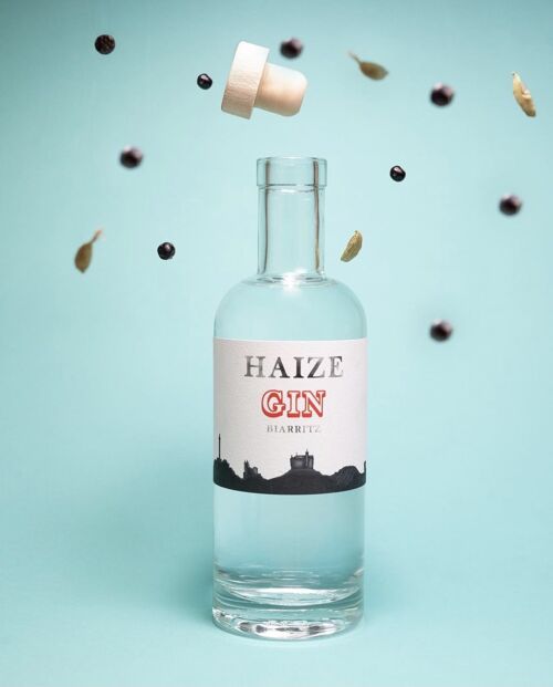Gin Haize