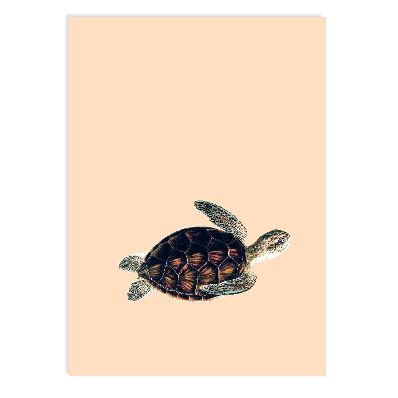 Cartolina vieni insieme