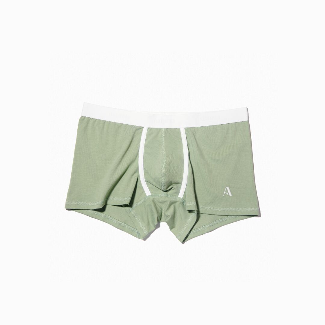 Shorty IDOLE - Salvia