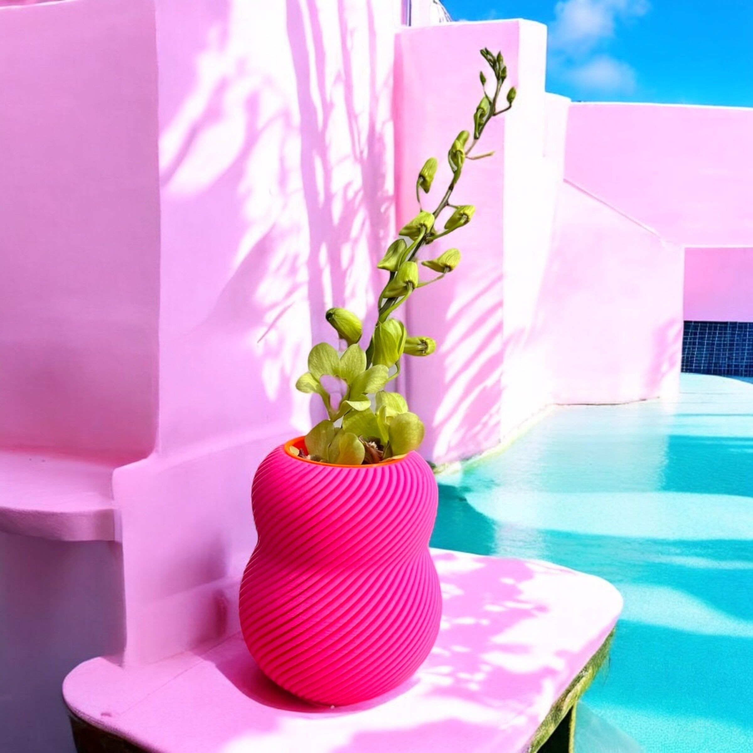 Floraison 100 % * Rose néon