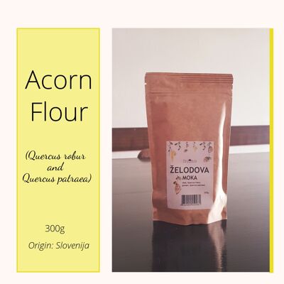 ACORN FLOUR (Quercus robur and Quercus patraea)