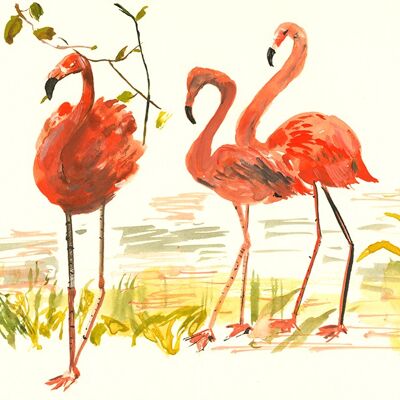 Drie Flamingo's A6 ansichtkaart / 12 stuks