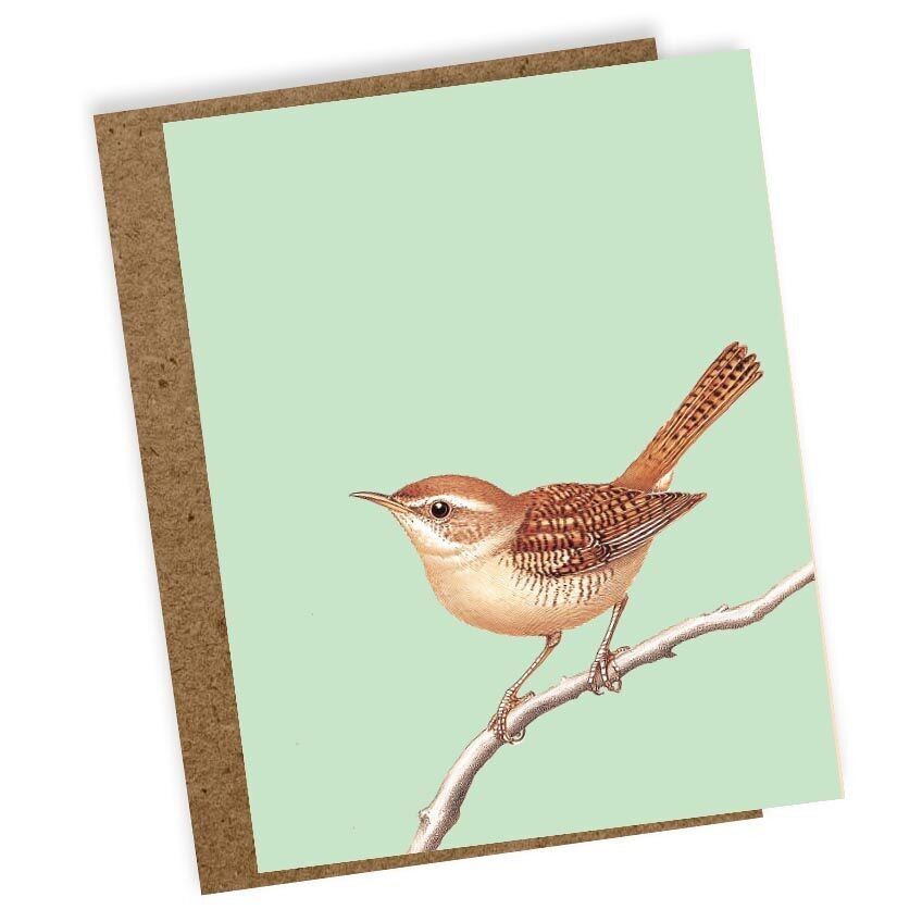 Mini biglietto d'auguri Wren