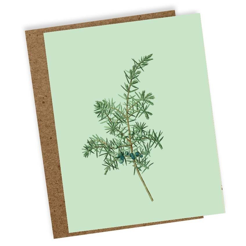 Mini Grußkarte Juniperus