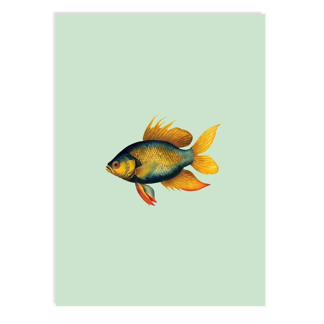 Postkarte Goldfisch