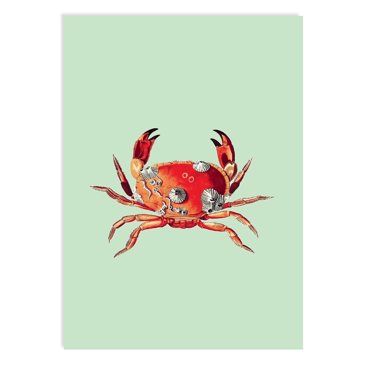 Vacanza da cartolina