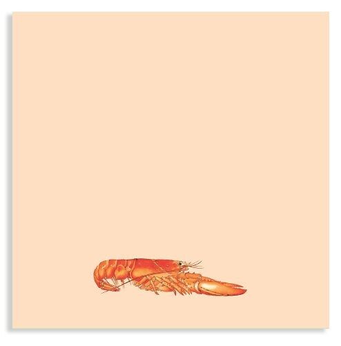 Blocco note 10x10cm Fred (Aragosta)