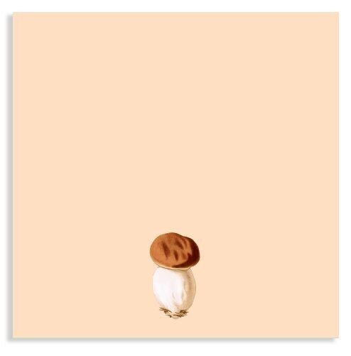 Blocco note 10x10cm Funghi porcini