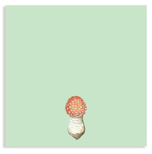 Bloc de notas de 10x10 cm Amanita muscaria