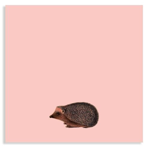 Notizblock 10x10cm Kiss (Igel)